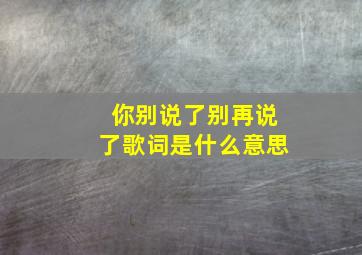 你别说了别再说了歌词是什么意思