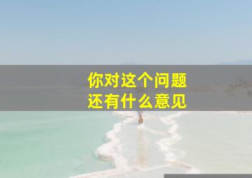 你对这个问题还有什么意见