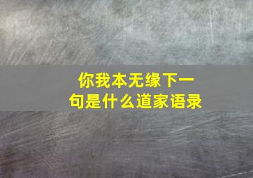 你我本无缘下一句是什么道家语录