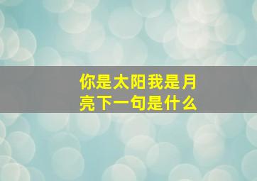 你是太阳我是月亮下一句是什么