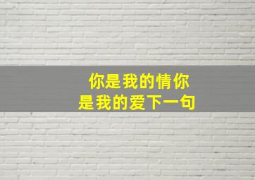 你是我的情你是我的爱下一句