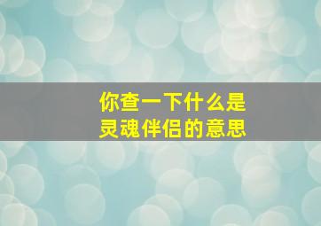 你查一下什么是灵魂伴侣的意思