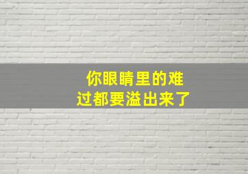 你眼睛里的难过都要溢出来了