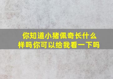 你知道小猪佩奇长什么样吗你可以给我看一下吗