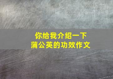 你给我介绍一下蒲公英的功效作文