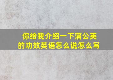 你给我介绍一下蒲公英的功效英语怎么说怎么写