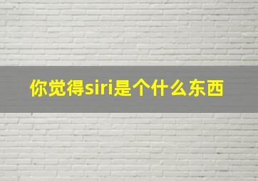 你觉得siri是个什么东西