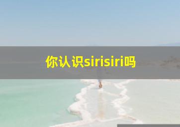 你认识sirisiri吗