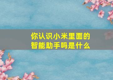 你认识小米里面的智能助手吗是什么