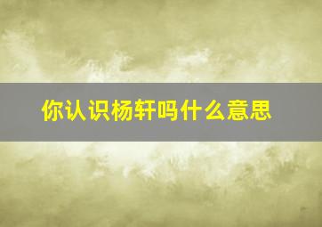 你认识杨轩吗什么意思