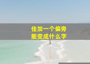 佳加一个偏旁能变成什么字