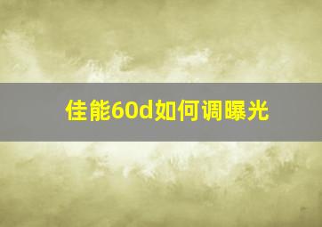 佳能60d如何调曝光