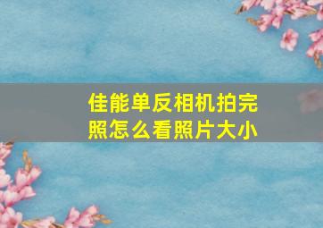 佳能单反相机拍完照怎么看照片大小