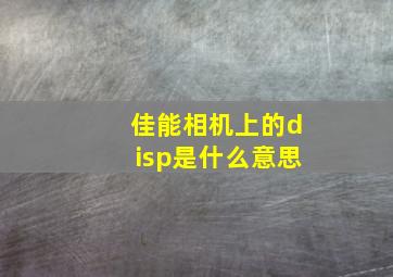 佳能相机上的disp是什么意思