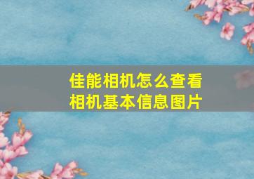 佳能相机怎么查看相机基本信息图片