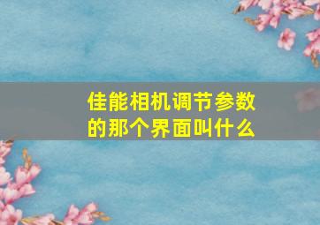 佳能相机调节参数的那个界面叫什么