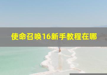 使命召唤16新手教程在哪