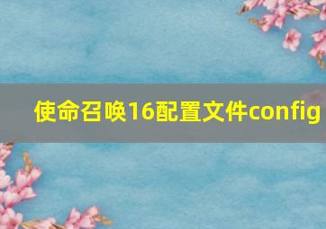 使命召唤16配置文件config