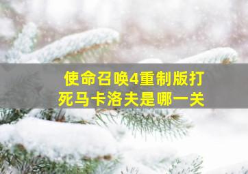 使命召唤4重制版打死马卡洛夫是哪一关