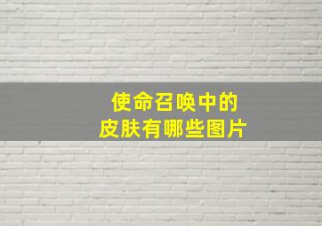 使命召唤中的皮肤有哪些图片