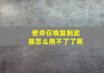 使命召唤复制武器怎么用不了了呢