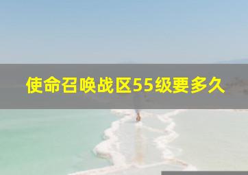 使命召唤战区55级要多久