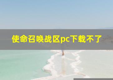 使命召唤战区pc下载不了