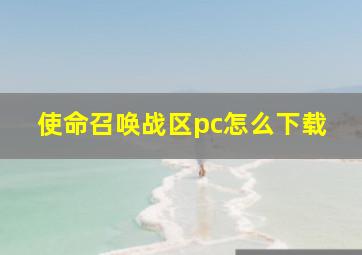 使命召唤战区pc怎么下载