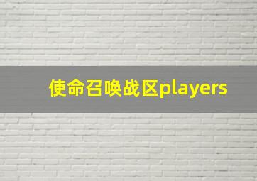 使命召唤战区players