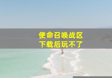 使命召唤战区下载后玩不了