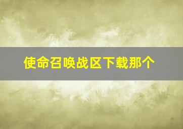 使命召唤战区下载那个