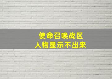 使命召唤战区人物显示不出来