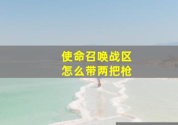 使命召唤战区怎么带两把枪