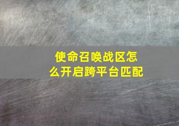 使命召唤战区怎么开启跨平台匹配