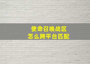 使命召唤战区怎么跨平台匹配