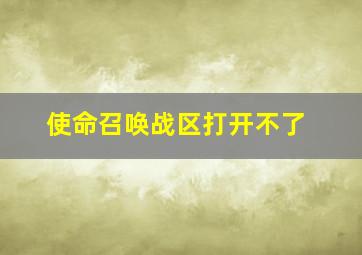 使命召唤战区打开不了