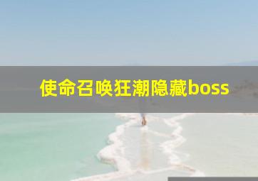 使命召唤狂潮隐藏boss