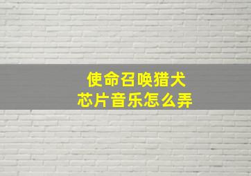 使命召唤猎犬芯片音乐怎么弄