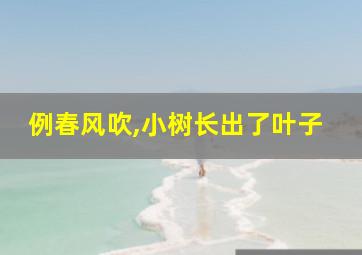 例春风吹,小树长出了叶子