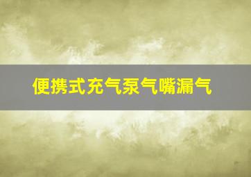 便携式充气泵气嘴漏气