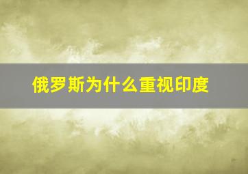 俄罗斯为什么重视印度