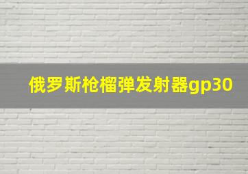 俄罗斯枪榴弹发射器gp30