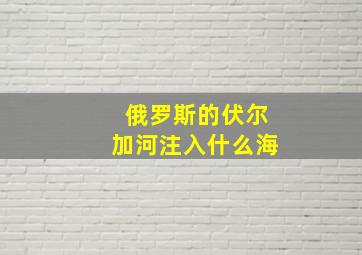 俄罗斯的伏尔加河注入什么海