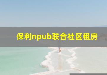 保利npub联合社区租房