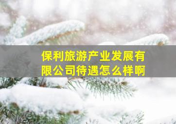 保利旅游产业发展有限公司待遇怎么样啊