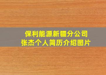 保利能源新疆分公司张杰个人简历介绍图片