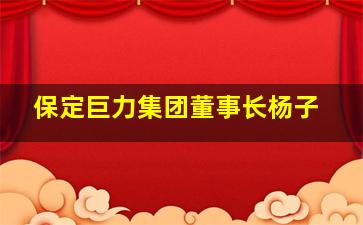 保定巨力集团董事长杨子