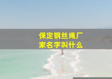 保定钢丝绳厂家名字叫什么