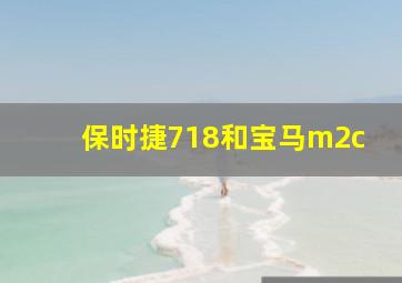 保时捷718和宝马m2c