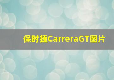 保时捷CarreraGT图片